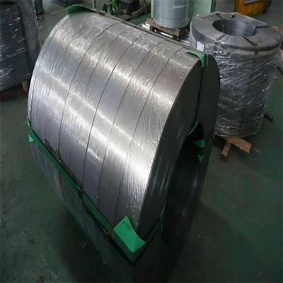 301 Stainless Steel